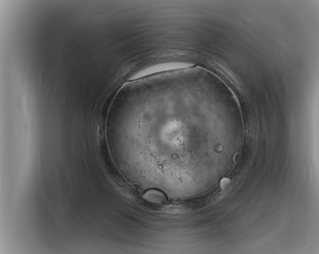 X0000116300119200912071256