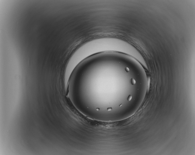 X0000116300120200912071256