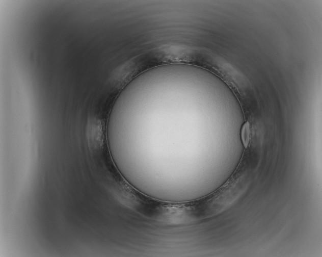 X0000116300121200912071256