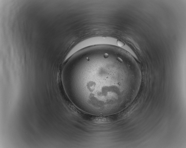 X0000116300123200912071256