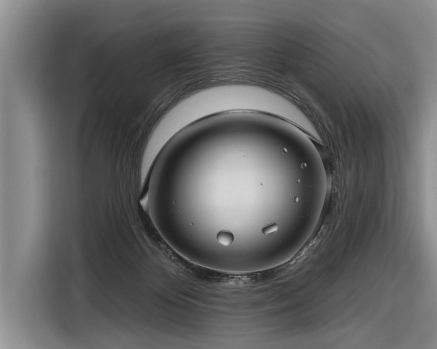 X0000116300124200912071256