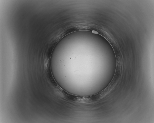 X0000116300125200912071256