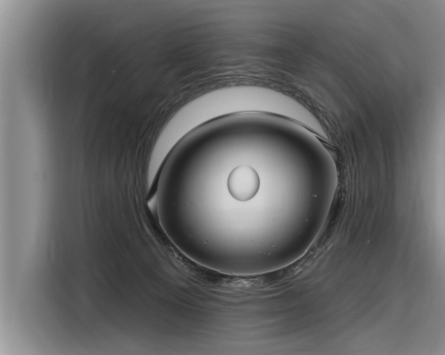 X0000116300129200912071256