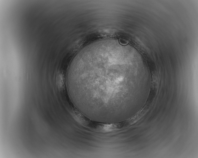 X0000116300130200912071256