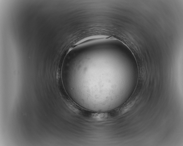 X0000116300135200912071256