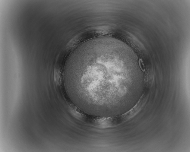 X0000116300136200912071256