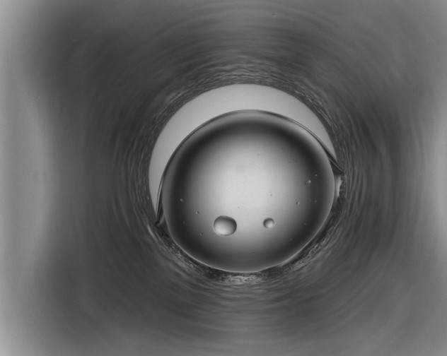 X0000116300137200912071256