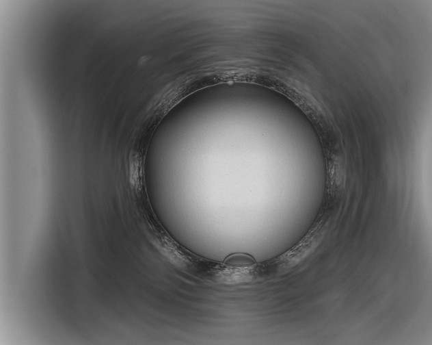 X0000116300138200912071256