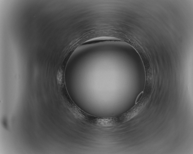 X0000116300139200912071256