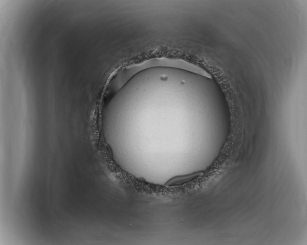 X0000116300144200912071256