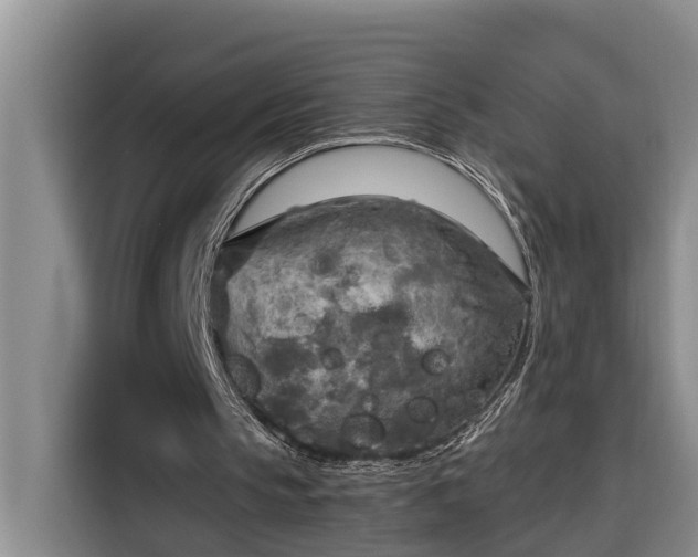 X0000116300145200912071255