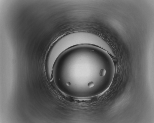 X0000116300146200912071255