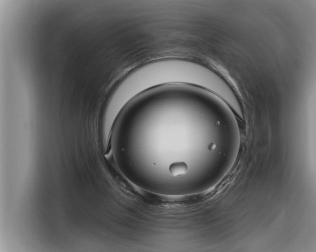 X0000116300154200912071255