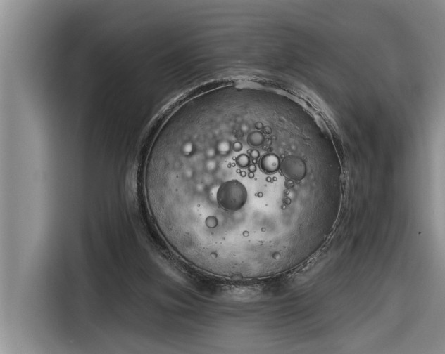 X0000116300155200912071255