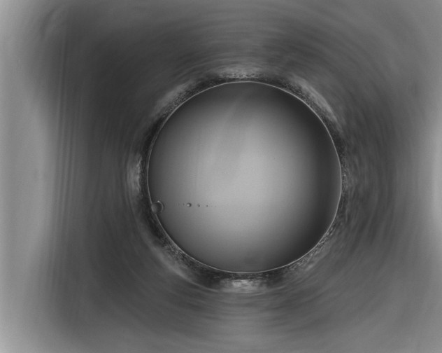 X0000116300163200912071255