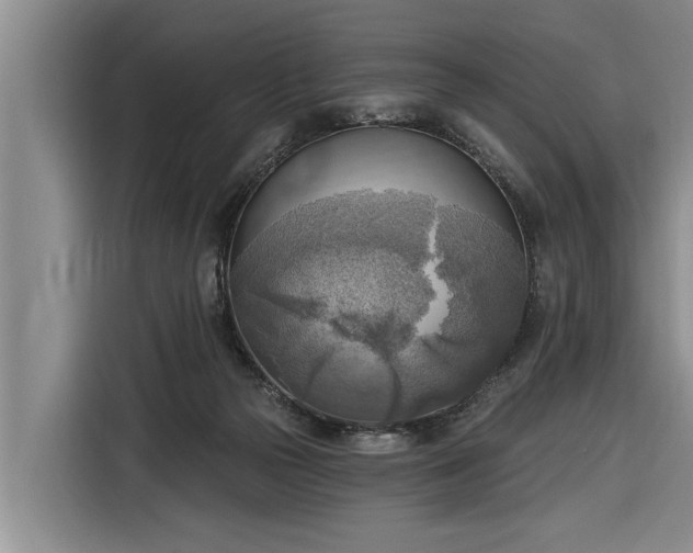 X0000116300169200912071255