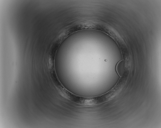 X0000116300173200912071255