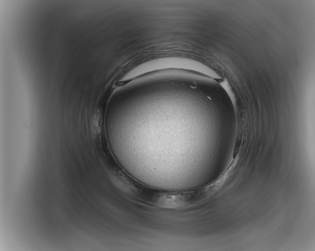 X0000116300174200912071256