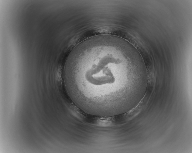 X0000116300175200912071256