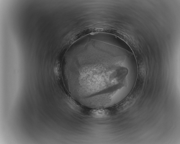 X0000116300181200912071256