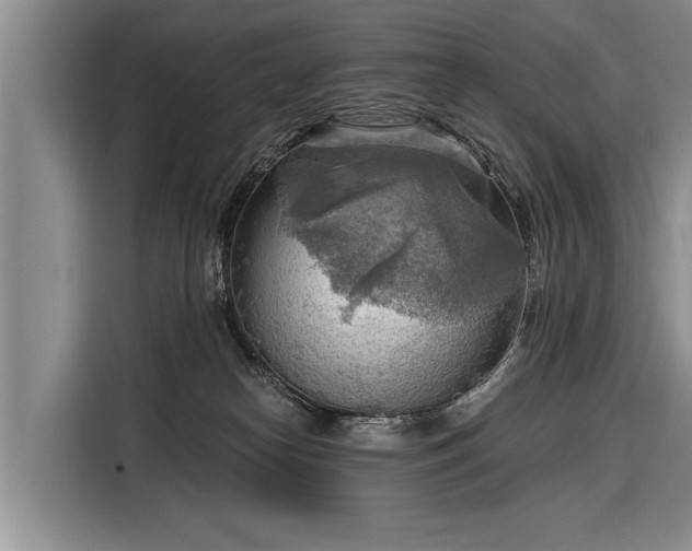 X0000116300182200912071256