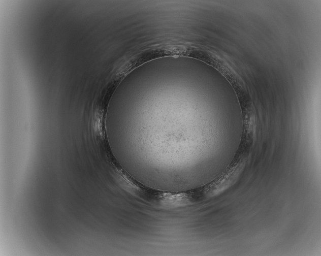 X0000116300185200912071256