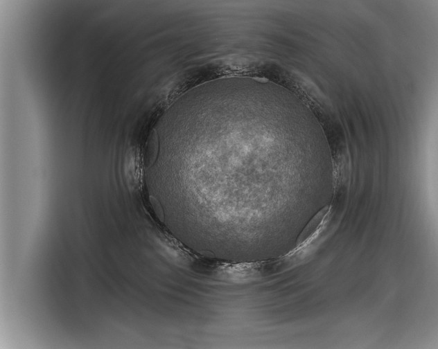 X0000116300186200912071256