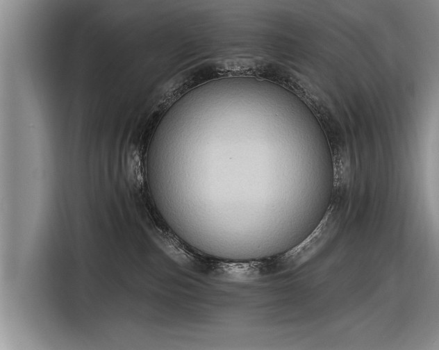 X0000116300187200912071256