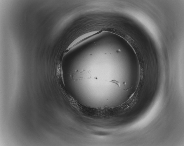 X0000116300190200912071256