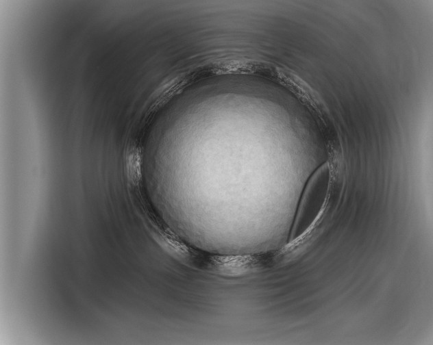 X0000116300191200912071256