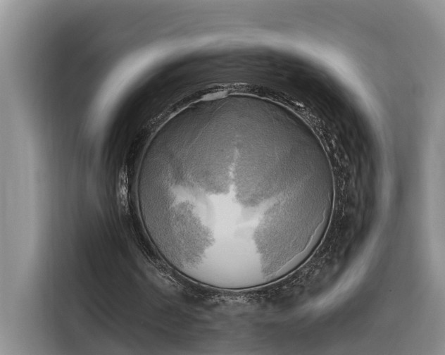 X0000116300194200912071255