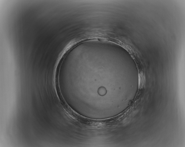 X0000116300195200912071255