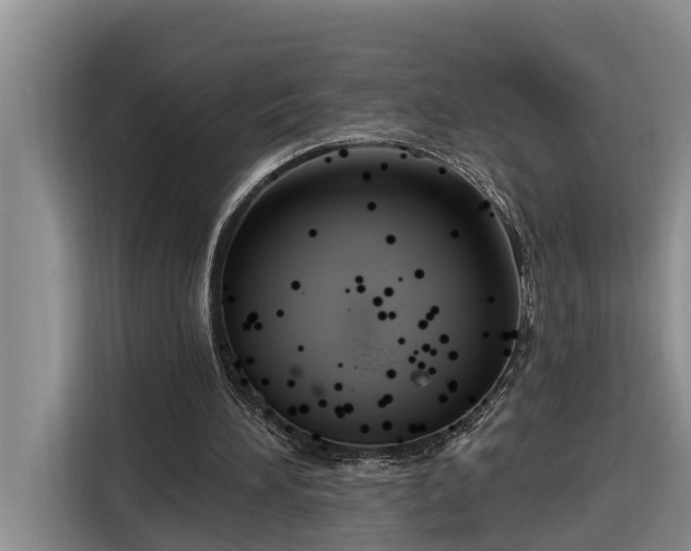 X0000116300196200912071255