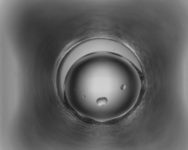 X0000116300199200912071255