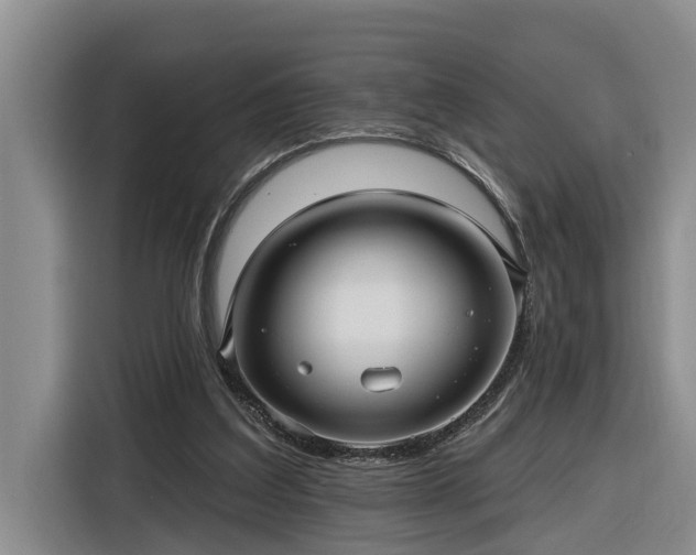 X0000116300203200912071255