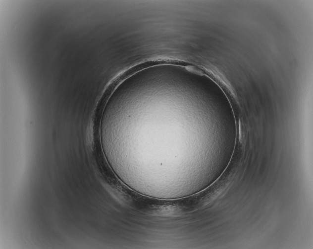 X0000116300204200912071255