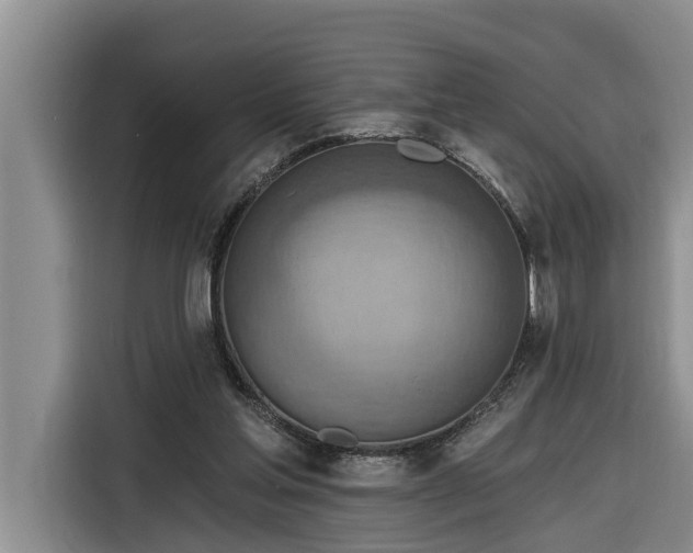 X0000116300205200912071255