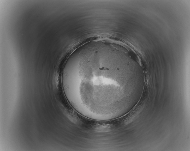 X0000116300206200912071255