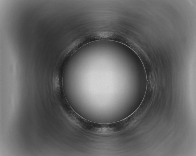 X0000116300212200912071255