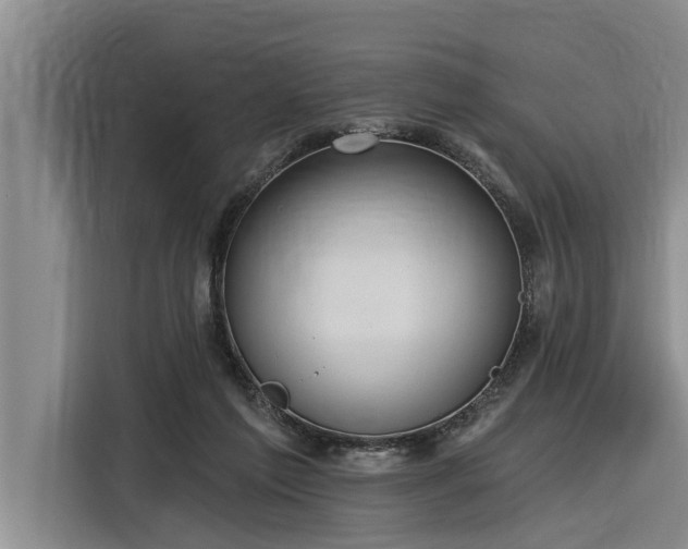 X0000116300213200912071255