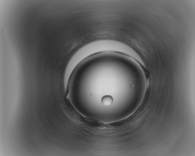 X0000116300215200912071255