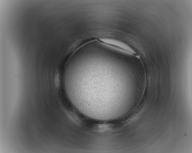 X0000116300216200912071255