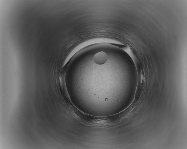 X0000116300219200912071255