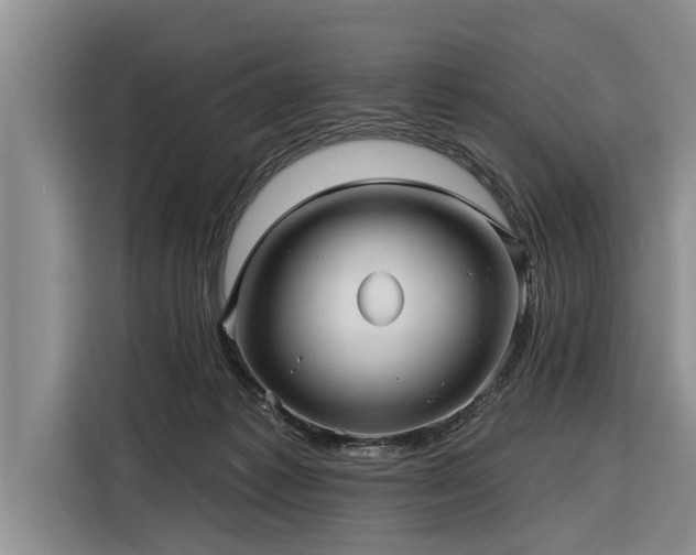 X0000116300221200912071255