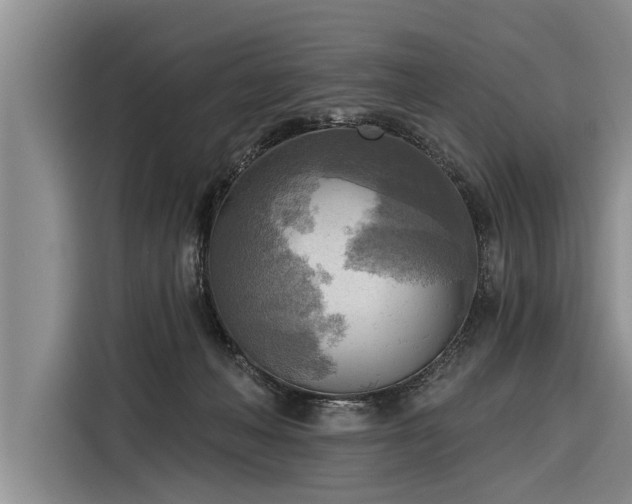 X0000116300222200912071255