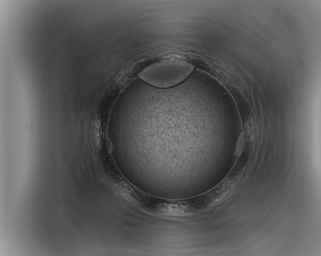 X0000116300223200912071255