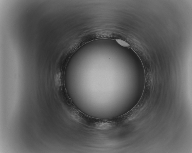 X0000116300224200912071255