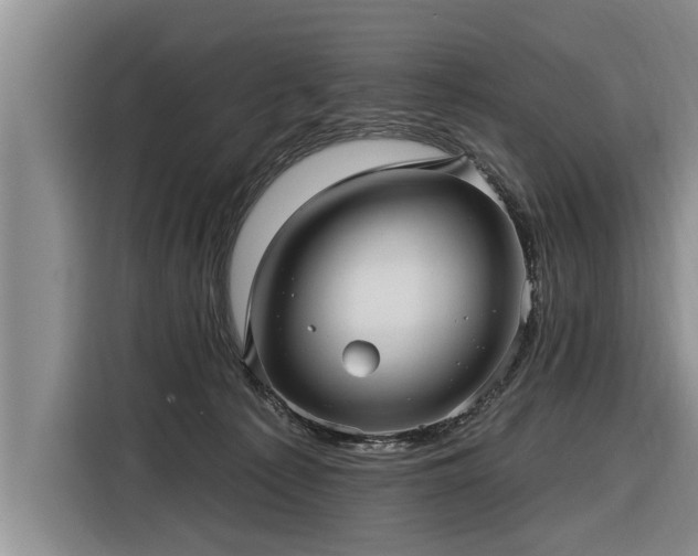 X0000116300225200912071255