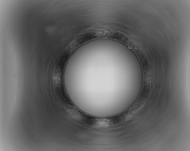 X0000116300226200912071255