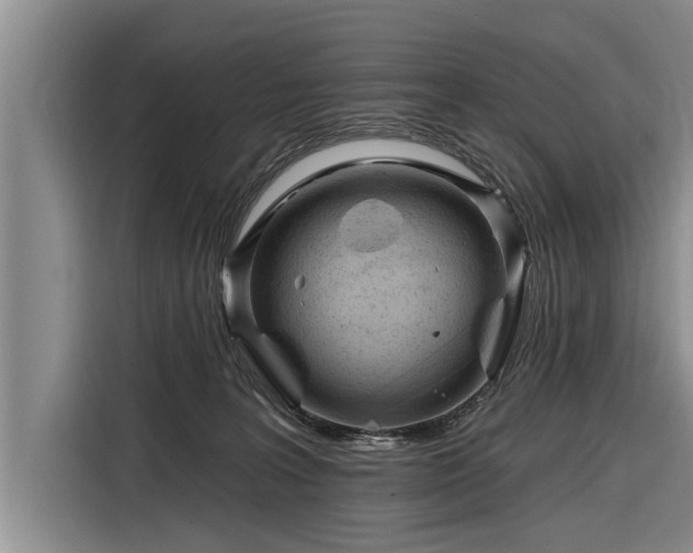 X0000116300227200912071255